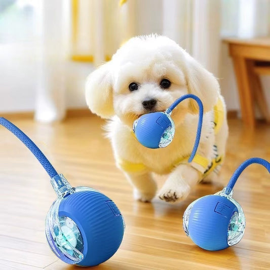New Cat Interactive Ball Toys Silicone Automatic Rolling Ball with Long Tail Teaser Smart Pet Electric Toy Kitten Cat Toy
