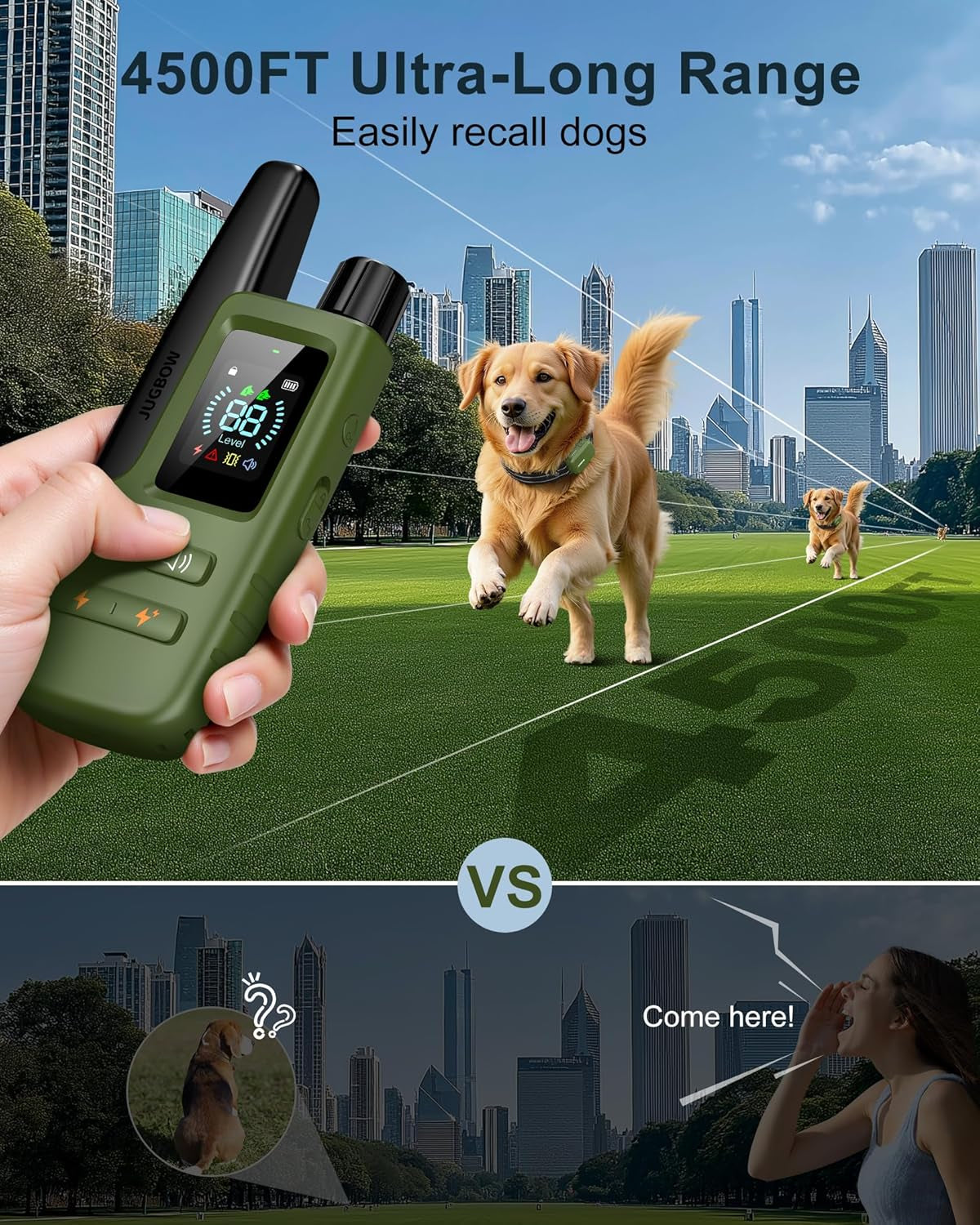 Dog Training Shock Collar
